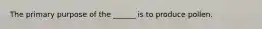 The primary purpose of the ______ is to produce pollen.