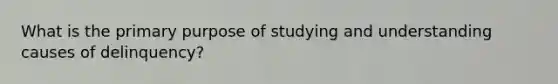 What is the primary purpose of studying and understanding causes of delinquency?