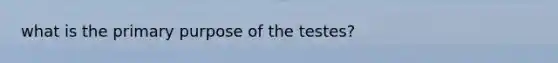 what is the primary purpose of the testes?