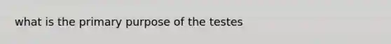 what is the primary purpose of the testes