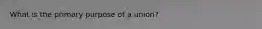 What is the primary purpose of a union?