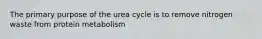 The primary purpose of the urea cycle is to remove nitrogen waste from protein metabolism