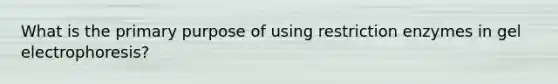 What is the primary purpose of using restriction enzymes in gel electrophoresis?