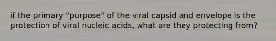 if the primary "purpose" of the viral capsid and envelope is the protection of viral nucleic acids, what are they protecting from?