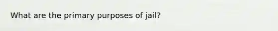 What are the primary purposes of jail?