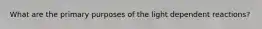 What are the primary purposes of the light dependent reactions?