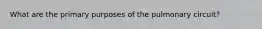 What are the primary purposes of the pulmonary circuit?