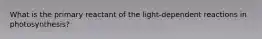 What is the primary reactant of the light-dependent reactions in photosynthesis?