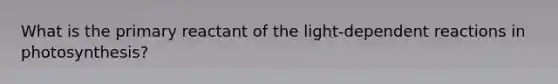 What is the primary reactant of the light-dependent reactions in photosynthesis?