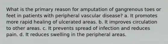 What is the primary reason for amputation of gangrenous toes or feet in patients with peripheral vascular disease? a. It promotes more rapid healing of ulcerated areas. b. It improves circulation to other areas. c. It prevents spread of infection and reduces pain. d. It reduces swelling in the peripheral areas.