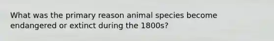 What was the primary reason animal species become endangered or extinct during the 1800s?