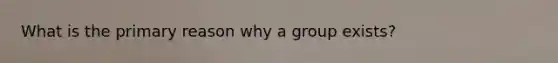 What is the primary reason why a group exists?