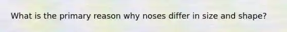 What is the primary reason why noses differ in size and shape?