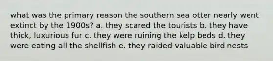 what was the primary reason the southern sea otter nearly went extinct by the 1900s? a. they scared the tourists b. they have thick, luxurious fur c. they were ruining the kelp beds d. they were eating all the shellfish e. they raided valuable bird nests
