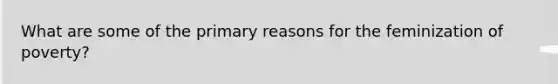 What are some of the primary reasons for the feminization of poverty?