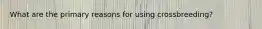 What are the primary reasons for using crossbreeding?