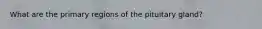 What are the primary regions of the pituitary gland?