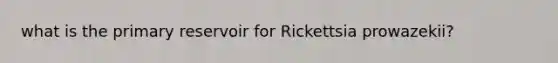 what is the primary reservoir for Rickettsia prowazekii?