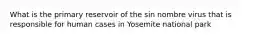 What is the primary reservoir of the sin nombre virus that is responsible for human cases in Yosemite national park