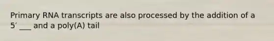 Primary RNA transcripts are also processed by the addition of a 5′ ___ and a poly(A) tail