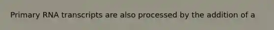 Primary RNA transcripts are also processed by the addition of a