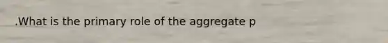 .What is the primary role of the aggregate p