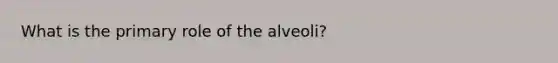 What is the primary role of the alveoli?