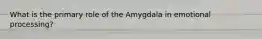 What is the primary role of the Amygdala in emotional processing?