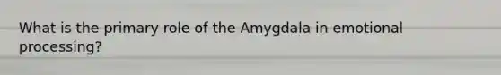 What is the primary role of the Amygdala in emotional processing?