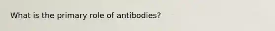 What is the primary role of antibodies?