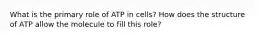 What is the primary role of ATP in cells? How does the structure of ATP allow the molecule to fill this role?