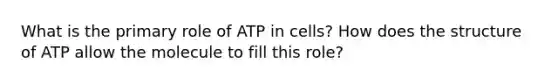 What is the primary role of ATP in cells? How does the structure of ATP allow the molecule to fill this role?