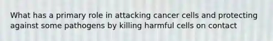 What has a primary role in attacking cancer cells and protecting against some pathogens by killing harmful cells on contact