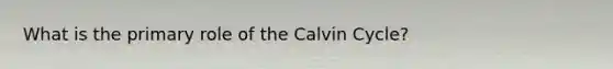 What is the primary role of the Calvin Cycle?