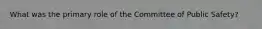 What was the primary role of the Committee of Public Safety?