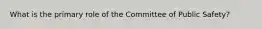 What is the primary role of the Committee of Public Safety?