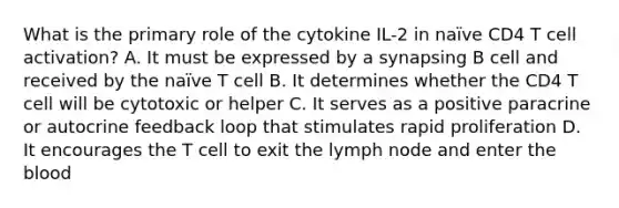 What is the primary role of the cytokine IL-2 in naïve CD4 T cell activation? A. It must be expressed by a synapsing B cell and received by the naïve T cell B. It determines whether the CD4 T cell will be cytotoxic or helper C. It serves as a positive paracrine or autocrine feedback loop that stimulates rapid proliferation D. It encourages the T cell to exit the lymph node and enter the blood