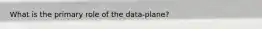 What is the primary role of the data-plane?