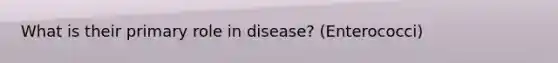 What is their primary role in disease? (Enterococci)