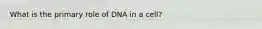 What is the primary role of DNA in a cell?