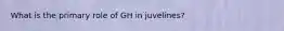What is the primary role of GH in juvelines?