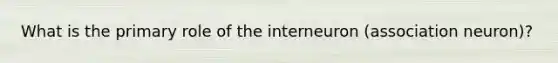 What is the primary role of the interneuron (association neuron)?