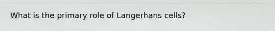 What is the primary role of Langerhans cells?