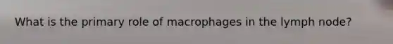 What is the primary role of macrophages in the lymph node?