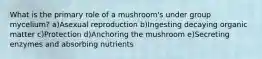 What is the primary role of a mushroom's under group mycelium? a)Asexual reproduction b)Ingesting decaying organic matter c)Protection d)Anchoring the mushroom e)Secreting enzymes and absorbing nutrients