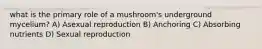 what is the primary role of a mushroom's underground mycelium? A) Asexual reproduction B) Anchoring C) Absorbing nutrients D) Sexual reproduction