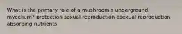 What is the primary role of a mushroom's underground mycelium? protection sexual reproduction asexual reproduction absorbing nutrients