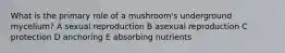 What is the primary role of a mushroom's underground mycelium? A sexual reproduction B asexual reproduction C protection D anchoring E absorbing nutrients