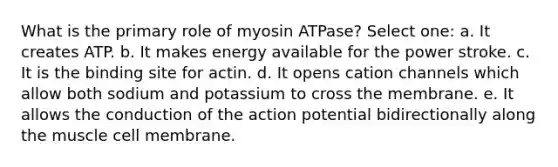 What is the primary role of myosin ATPase? Select one: a. It creates ATP. b. It makes energy available for the power stroke. c. It is the binding site for actin. d. It opens cation channels which allow both sodium and potassium to cross the membrane. e. It allows the conduction of the action potential bidirectionally along the muscle cell membrane.