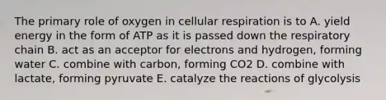 The primary role of oxygen in cellular respiration is to A. yield energy in the form of ATP as it is passed down the respiratory chain B. act as an acceptor for electrons and hydrogen, forming water C. combine with carbon, forming CO2 D. combine with lactate, forming pyruvate E. catalyze the reactions of glycolysis